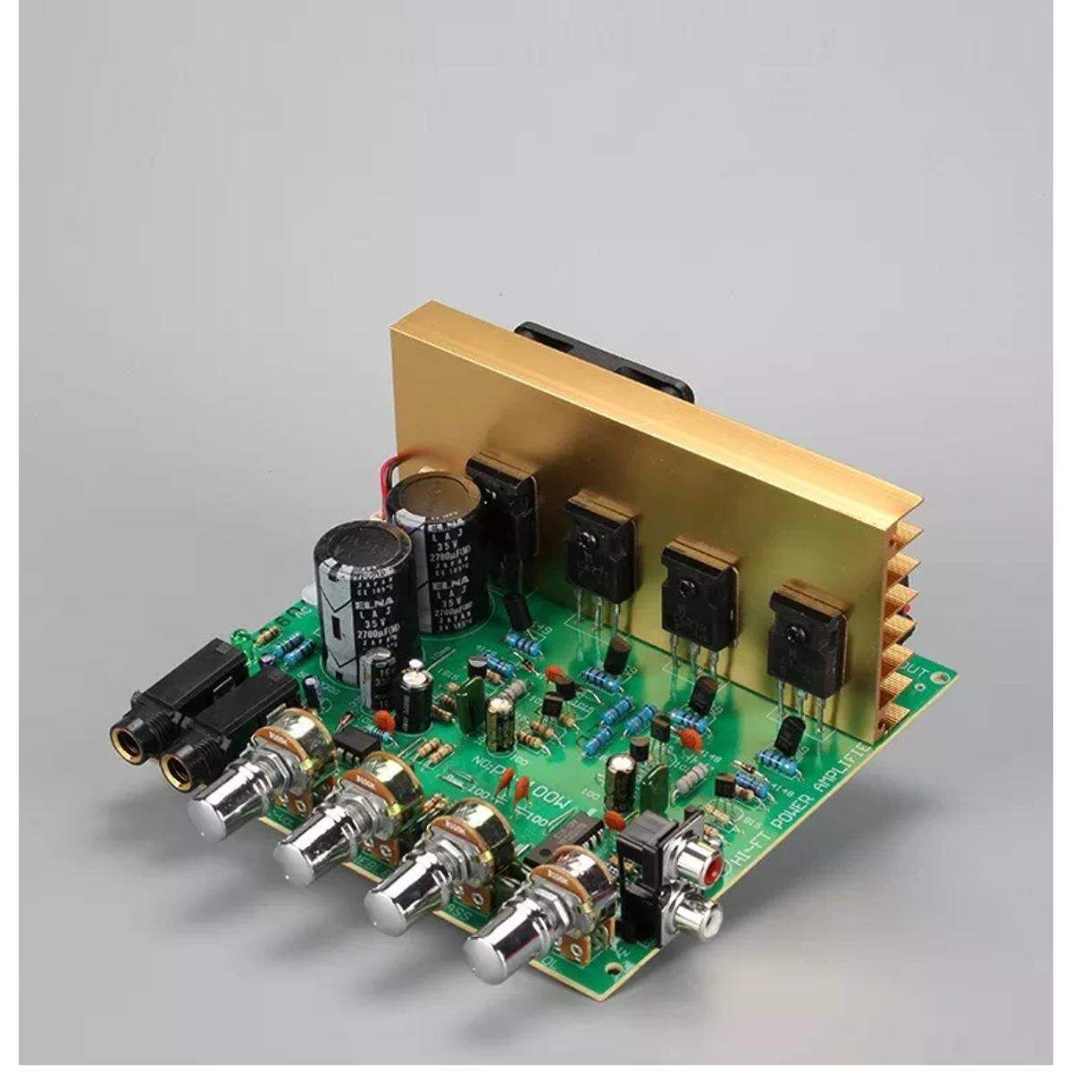 100 Watt HiFi Stereo Amplifier Circuit Board Karaoke With Microphone