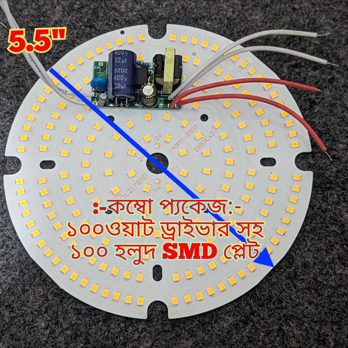 Combo Package 100 watt duel output driver with 100 watt golden smd light plate
